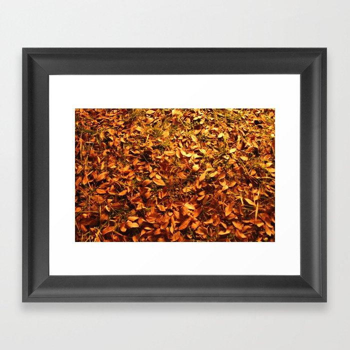 Autumn Framed Art Print