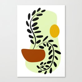 plant in the sun Canvas Print