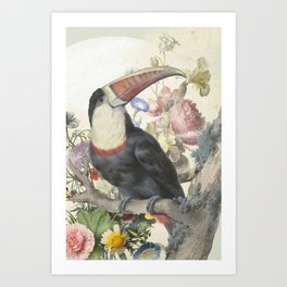 Toucan in front of still life of flowers and the moon Art Print