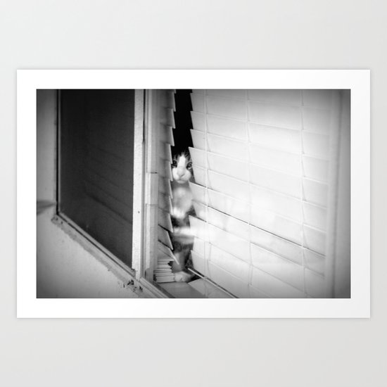 looking out Art Print