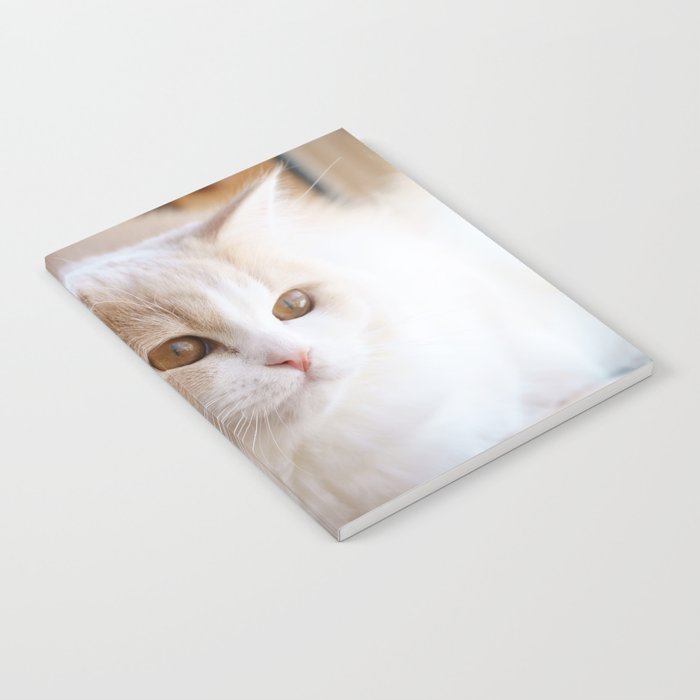 hunting cat Notebook