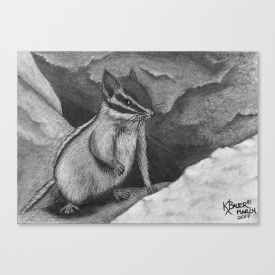 Chipmunk Canvas Print