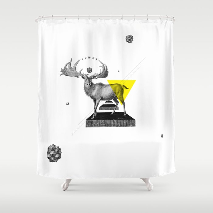 Archetypes Series: Dignity Shower Curtain