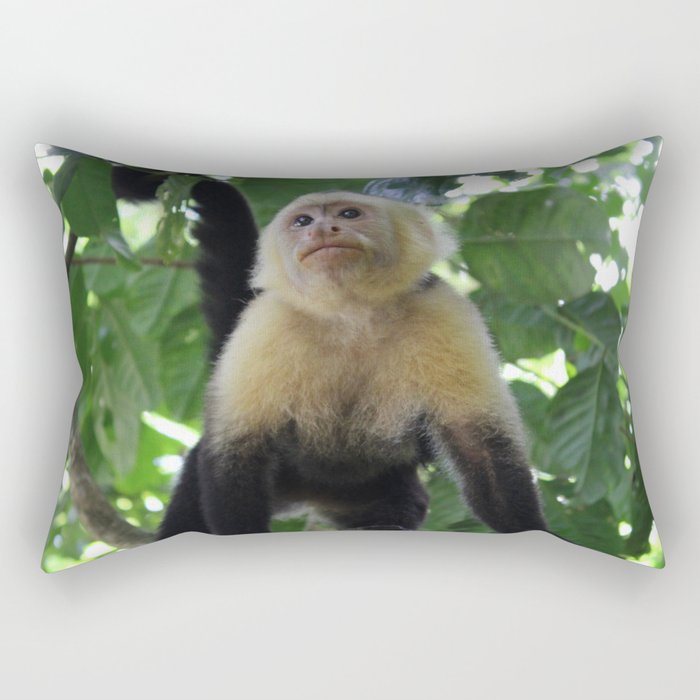 Capuchin Monkey Rectangular Pillow