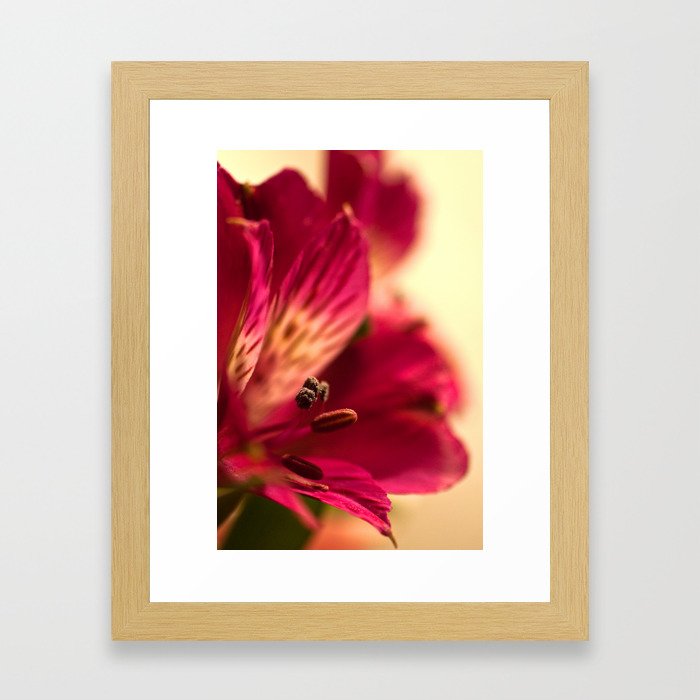{lily the pink} Framed Art Print