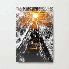 Suntree Metal Print | Abstract, Nature, Photo, Landscape 
