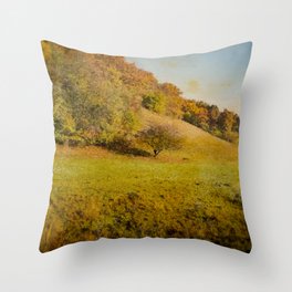 Vintage autumn countryside landscape Throw Pillow