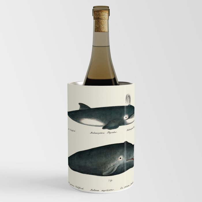 Vintage Whale Art Wine Chiller