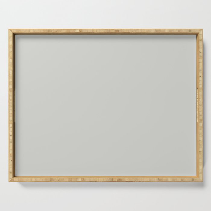 Pale Gray Grey Solid Color Pairs PPG Afraid Of The Dark PPG0994-1 - All One Single Shade Hue Colour Serving Tray