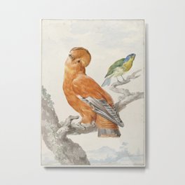 Two Exotic Birds - Vintage Tropical Decor Metal Print