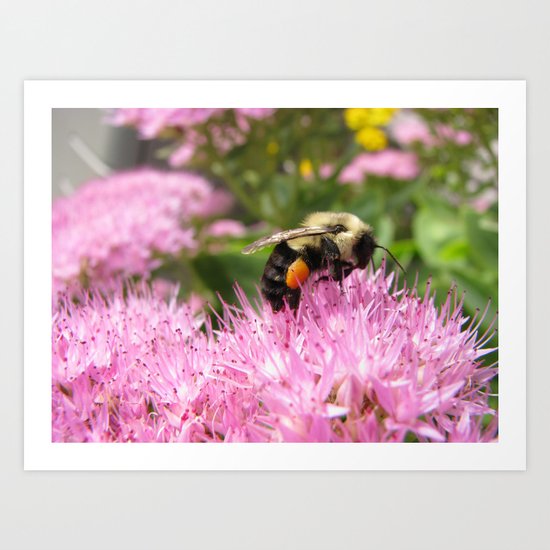 Let Me Bee Art Print