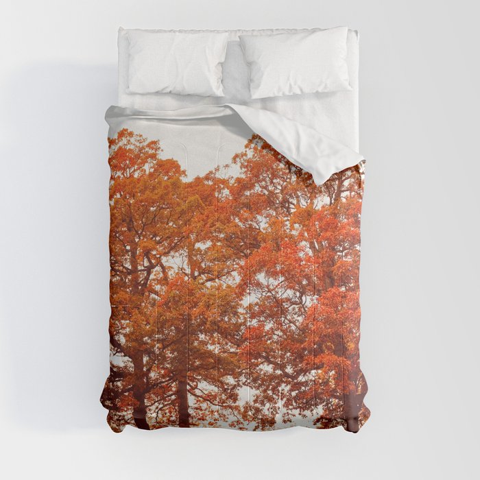 Autumn in New York Comforter