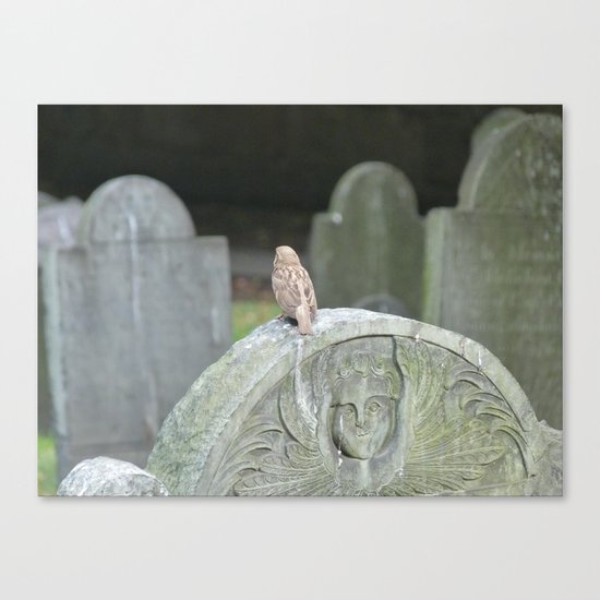 Sparrow in King's Chapel Burying Ground Boston Canvas Print