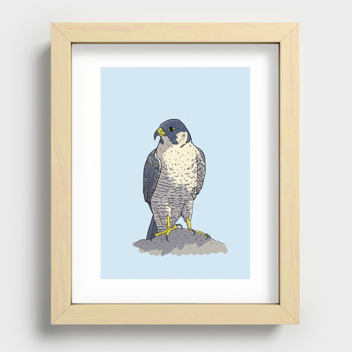 Peregrine Falcon Recessed Framed Print