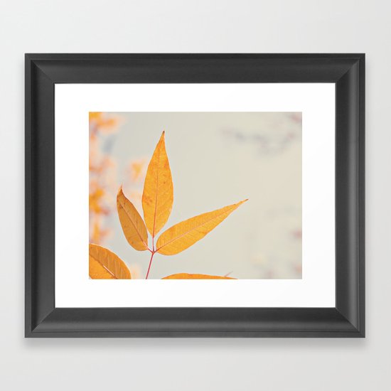 Autumn Three Framed Art Print