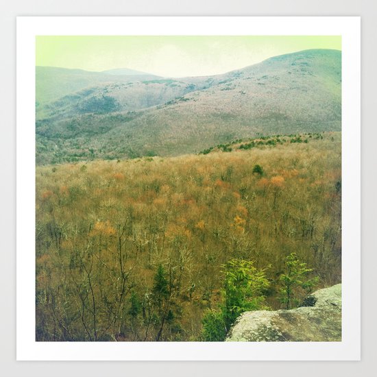 catskills3 Art Print