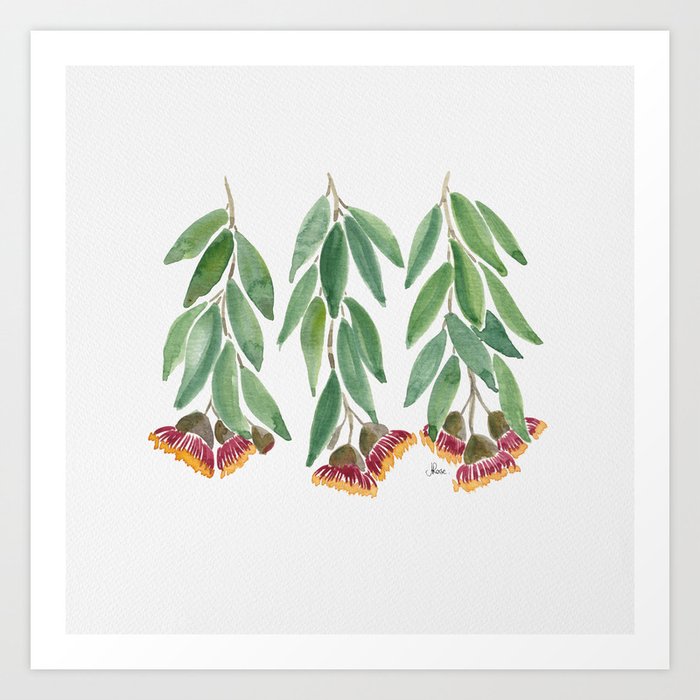 Christmas Eucalyptus Blooms Art Print