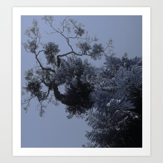 Floating Leaves Art Print