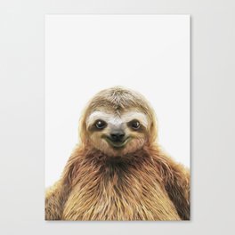 Young Sloth Canvas Print