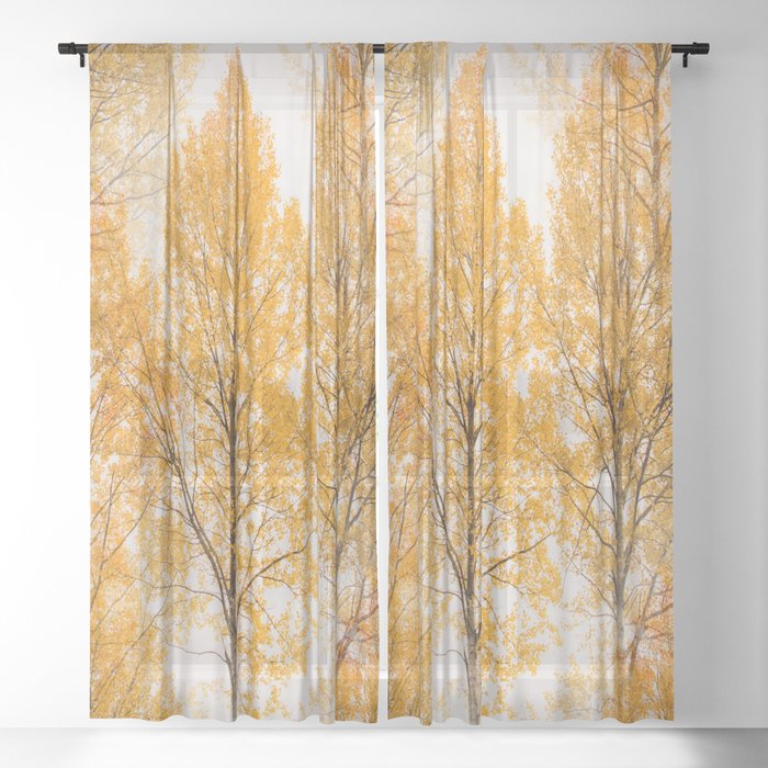 Autumn Aspen Tree Forest #decor #society6 #buyart Sheer Curtain