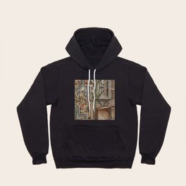 The Geometric Landscapes of Lorenz Stoer (1567) Hoody
