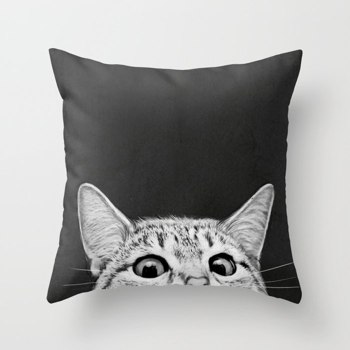 Throw Pillow