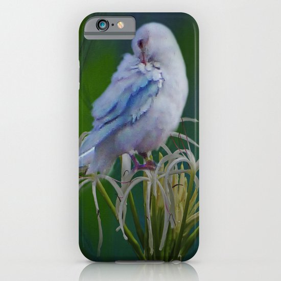 Preen iPhone & iPod Case