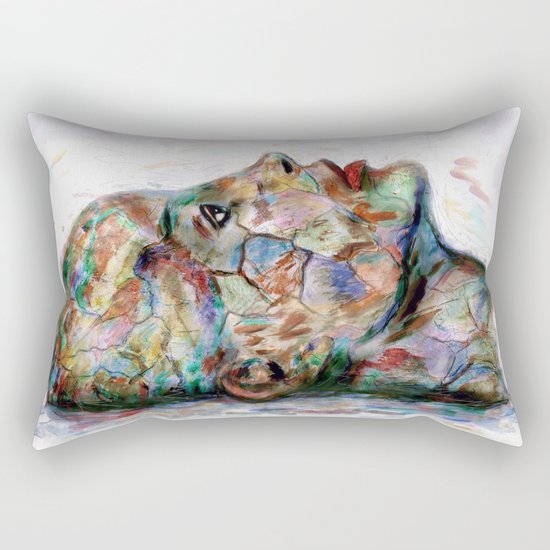 Drawing Conclusions Rectangular Pillow