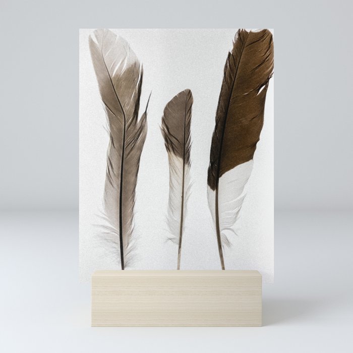 Feathers Mini Art Print