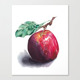 Apple Canvas Print