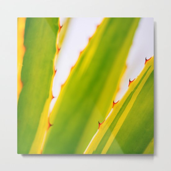 Agave Metal Print