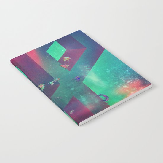 flyypyth Notebook