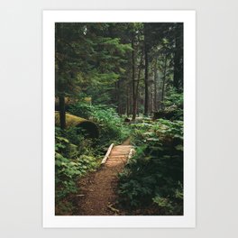 A Walk in the Woods II Art Print