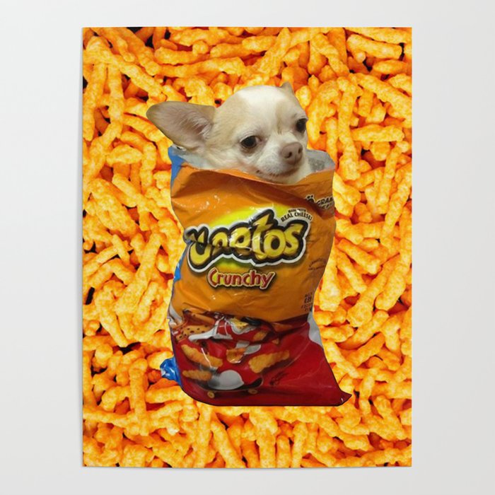 Dog in a cheeto top bag