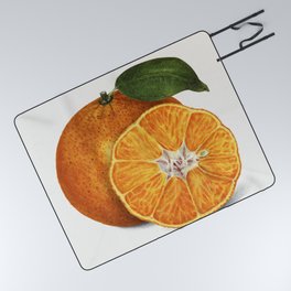 Delicious Orange Tangerine Illustration Picnic Blanket