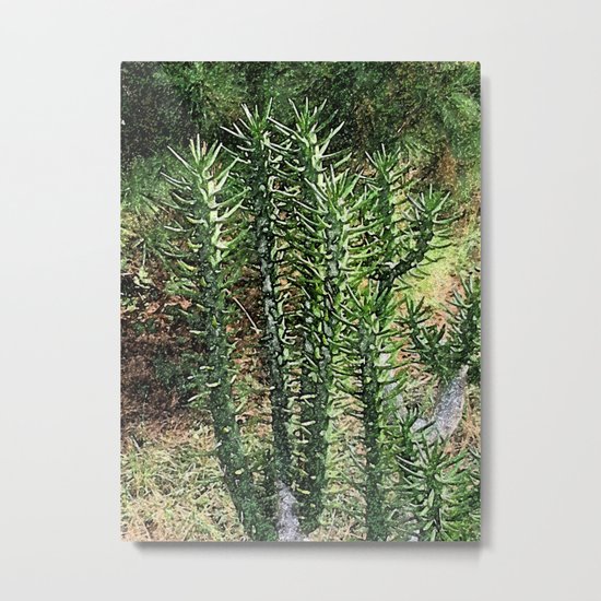 Green cactus in the garden digital painting Metal Print
