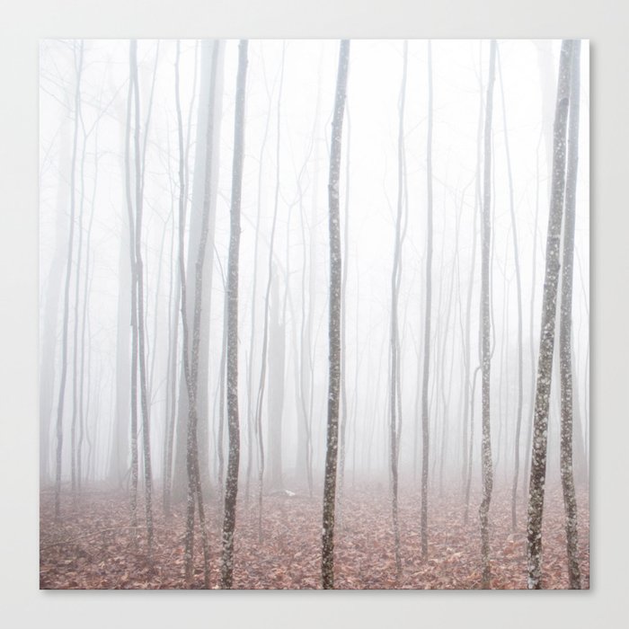 Misty Birch Forest Canvas Print