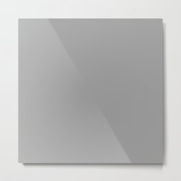 Monochrom Grey 161-161-161 Metal Print