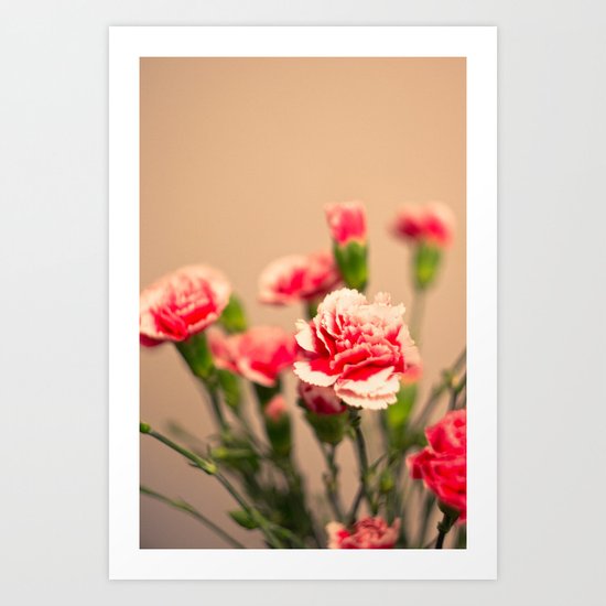 Carnation II Art Print
