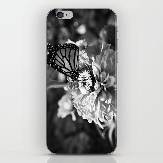 Butterfly on Flower iPhone & iPod Skin