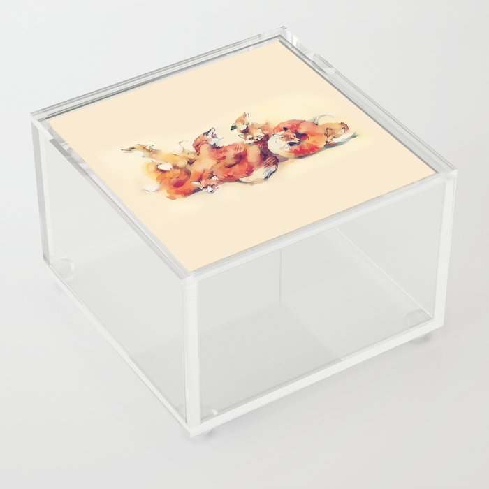 Fox Family Acrylic Box