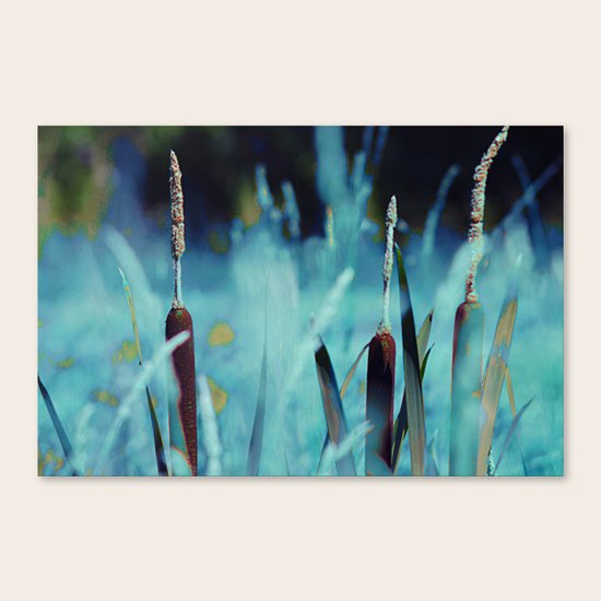 #131 Canvas Print
