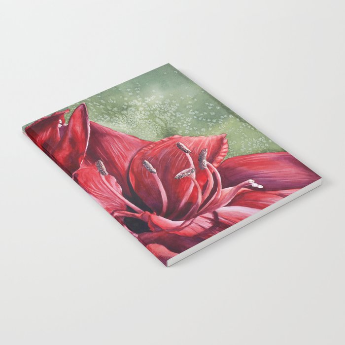 Red Amaryllis Flowers Notebook