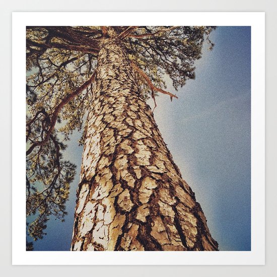 Tree 3 Art Print