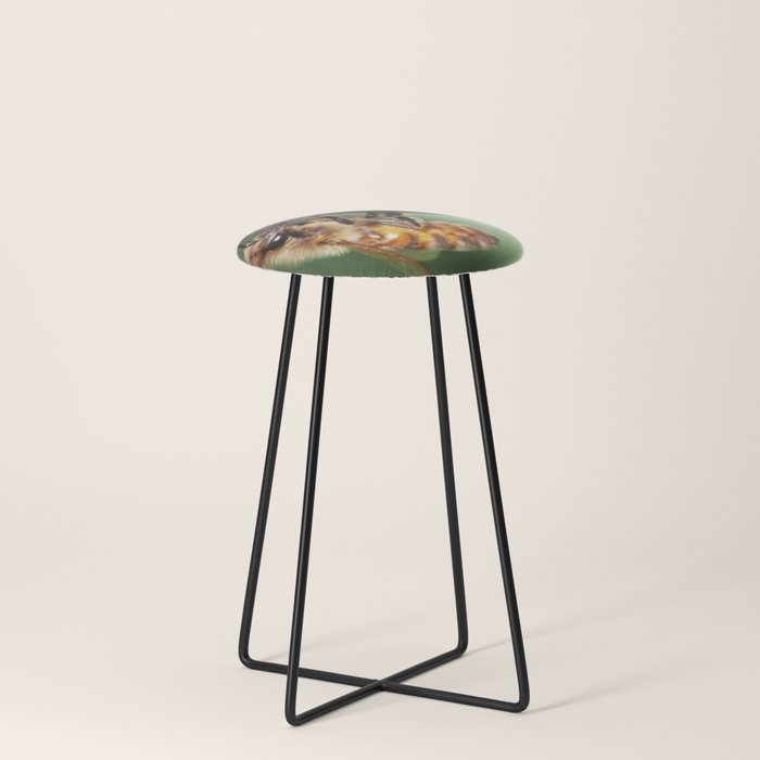 Fuzzy shop bar stools