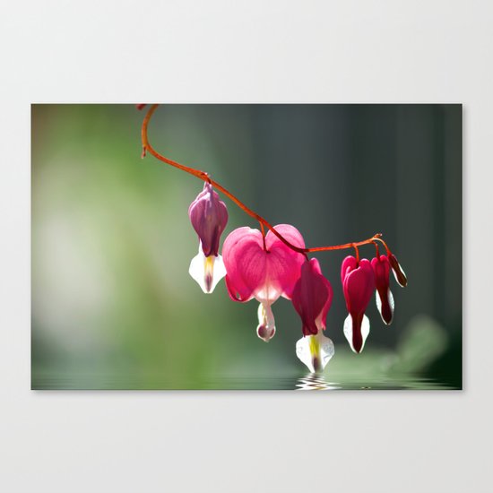 Lady in a bath Canvas Print