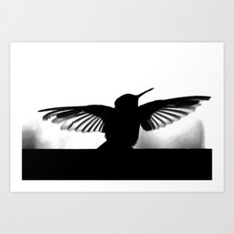 humming-bird Art Print