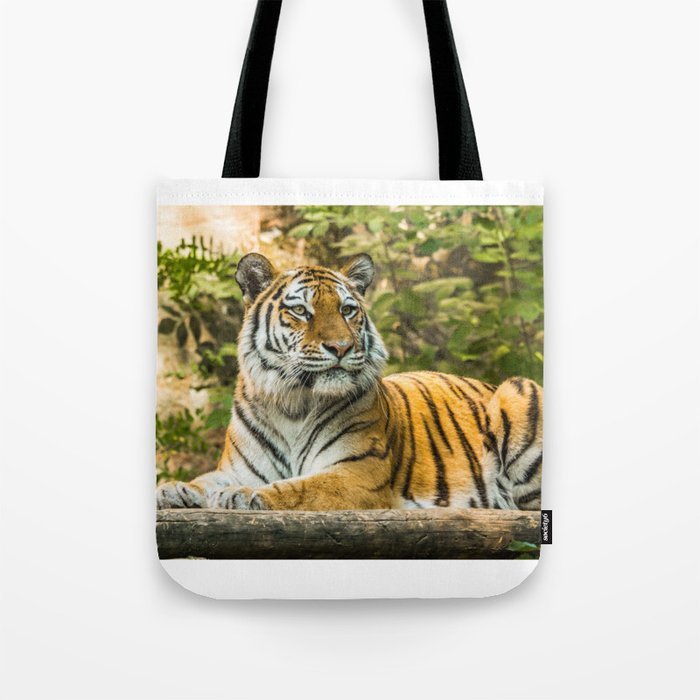 Tiger in the nature Tote Bag