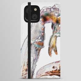 Colorful Maine Lobster iPhone Wallet Case