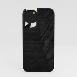 Black Dog iPhone Case